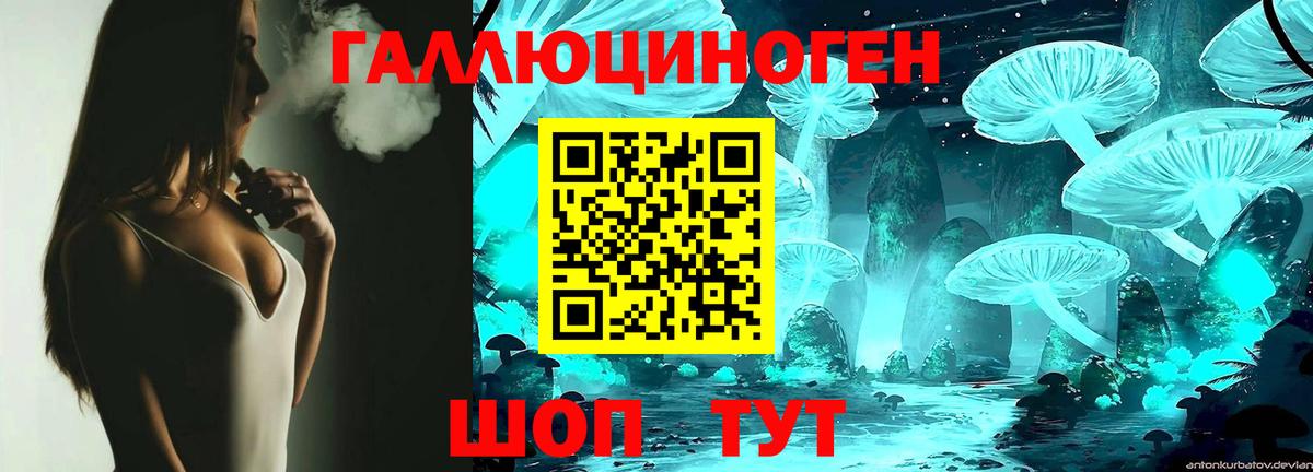 Псилоцибиновые грибы Psilocybe Сафоново