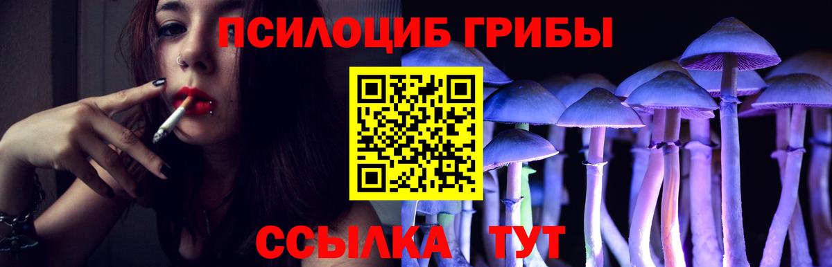 Псилоцибиновые грибы мухоморы  закладки  Вход с VPN  Сафоново  Псилоцибиновые грибы Psilocybe 